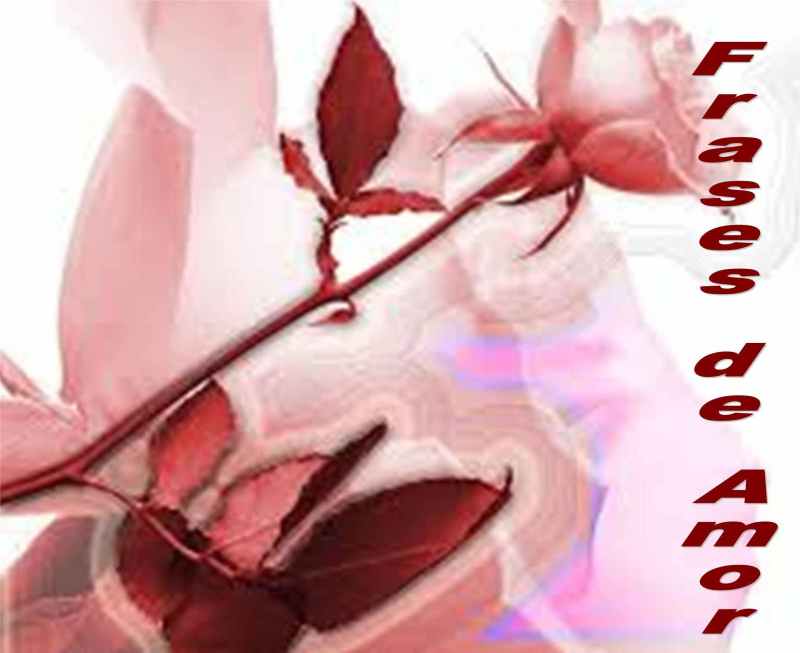 frases de amor